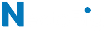 NextoBig - Digital Marketing Agency in Delhi